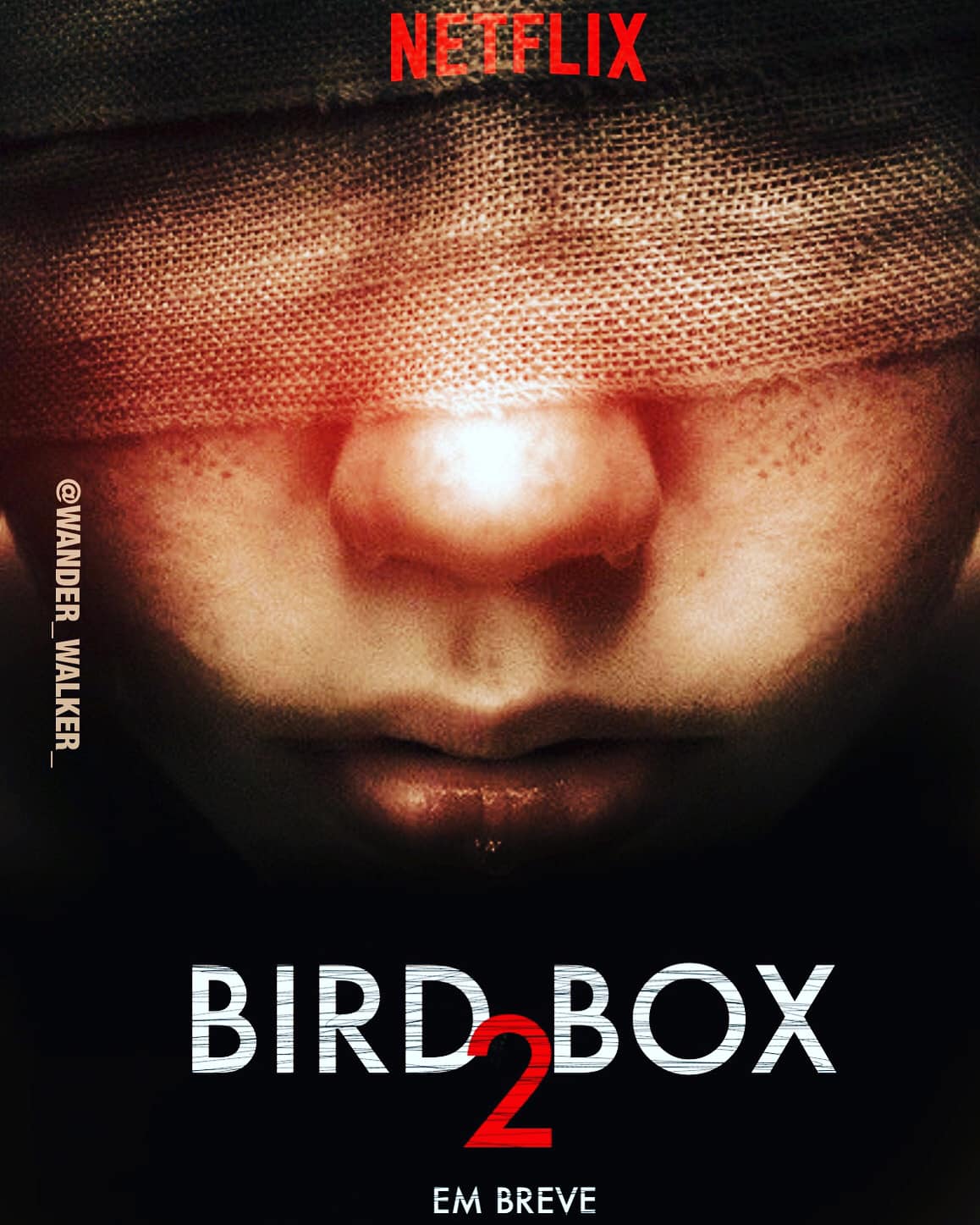 Sequência de Bird Box confirmada! Novo filme será spinoff e expandirá